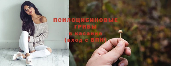прущий лед Майский
