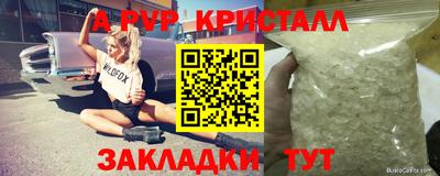 стаф Будённовск