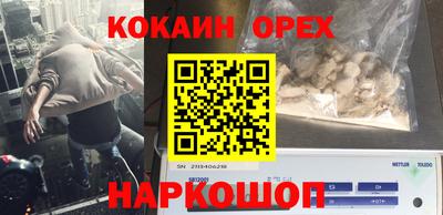 стаф Будённовск