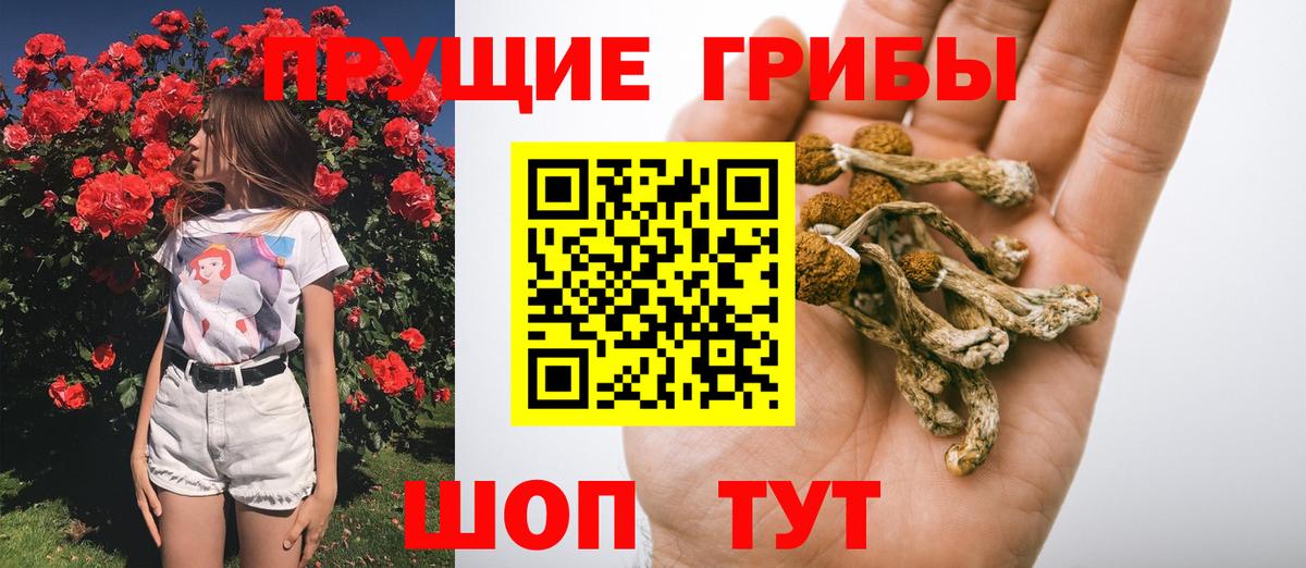ГАШИШ Кувандык