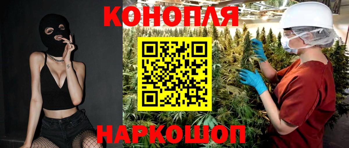 Бошки марихуана сатива  Вход с VPN  Каннабис Ganja  Кувандык 